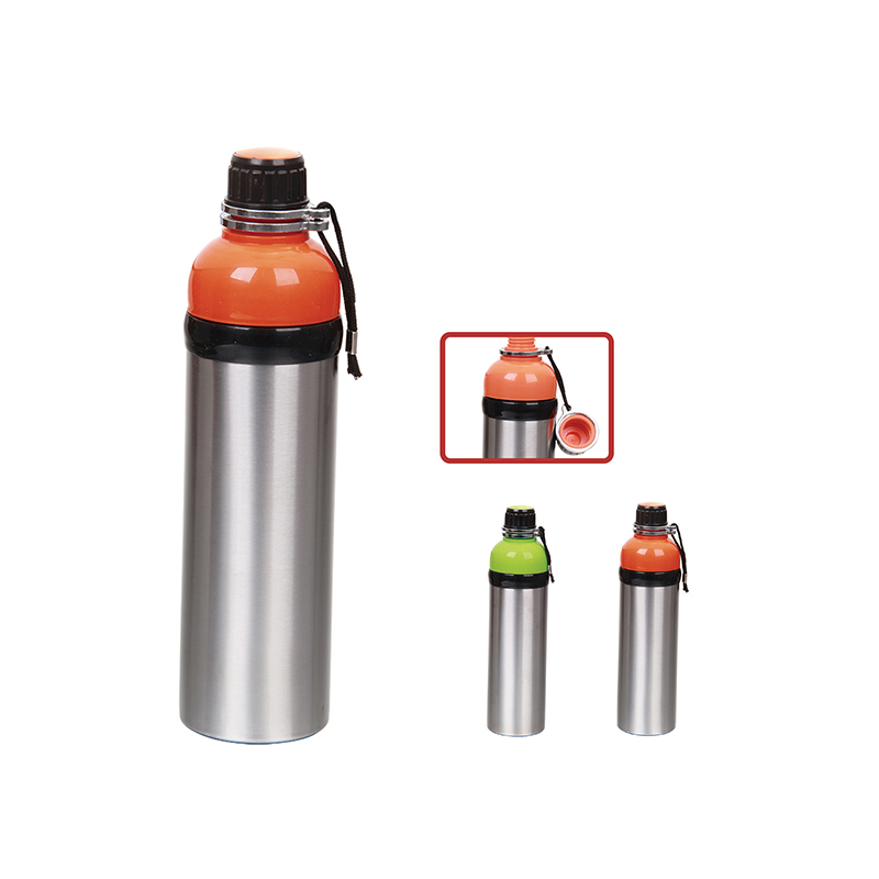 Stainless Steel Drinking Bottle